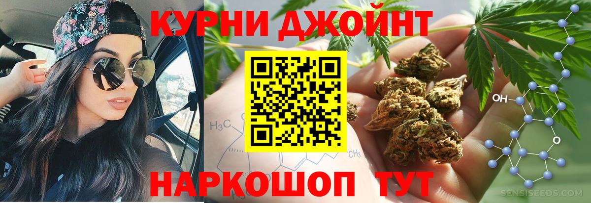 Бошки марихуана сатива Кушва